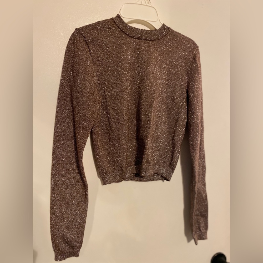 Sparkly Long Sleeve Top